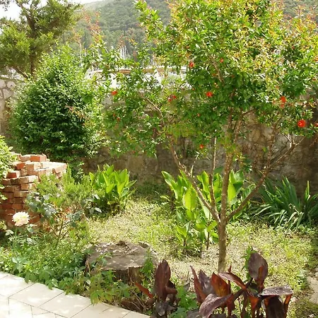 Palace Ντουμπρόβνικ